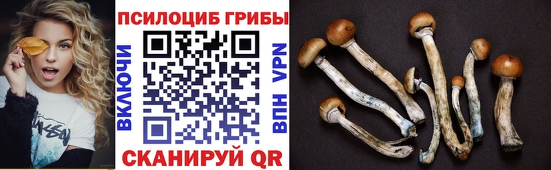 Галлюциногенные грибы MAGIC MUSHROOMS  Альметьевск 