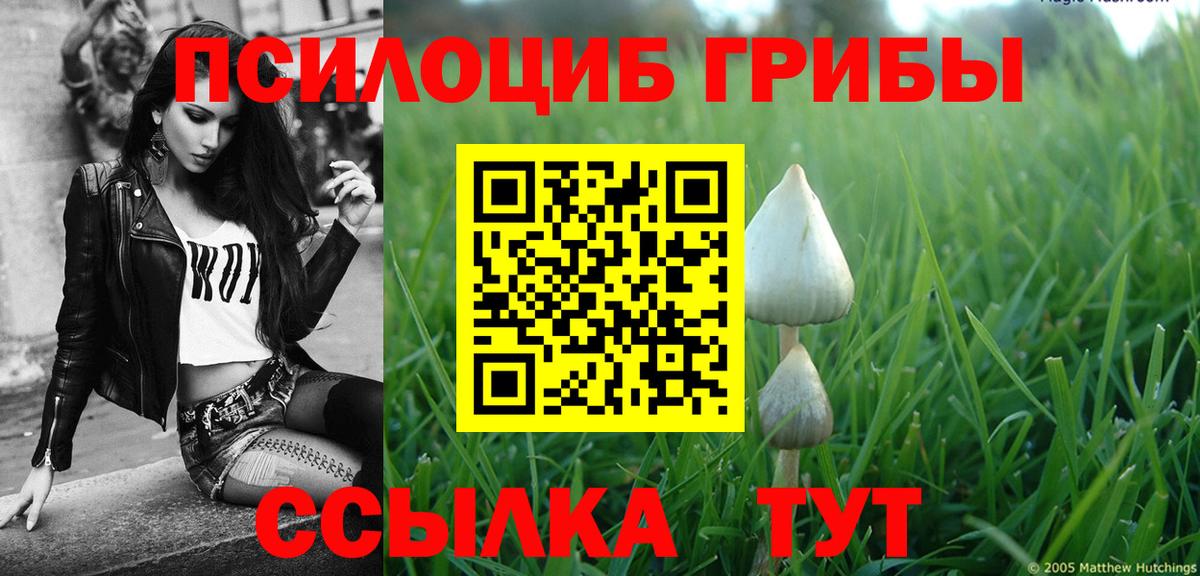 Вейп ТГК  NBOMe  Меф   ГАШИШ  Кокаин  Метамфетамин  Канабис  A PVP СК кристаллы  Альметьевск  Героин 