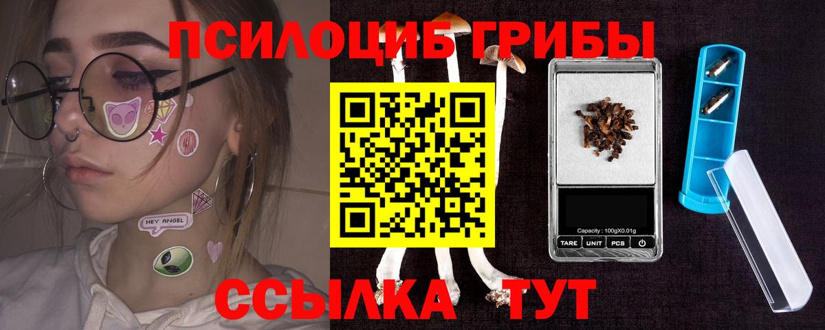 Альметьевск  Галлюциногенные грибы ЛСД  Псилоцибиновые грибы Psilocybine cubensis  Вход с VPN 